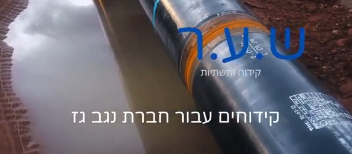 צילום מסך 2023-01-12 111337